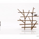 rochebookcase2