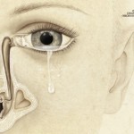 ZKO_Teardrop-412x271 (1)