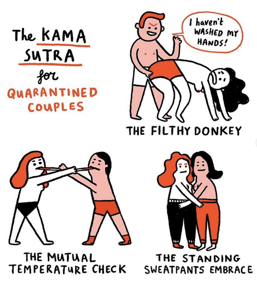 The Kama Sutra for quarantined couples! |